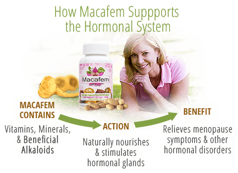 how macafem supports hormonal system