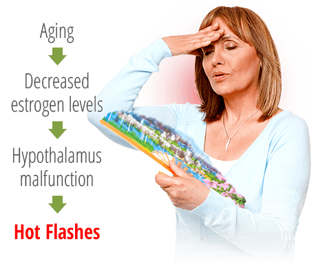 menopausesupport hot flashes
